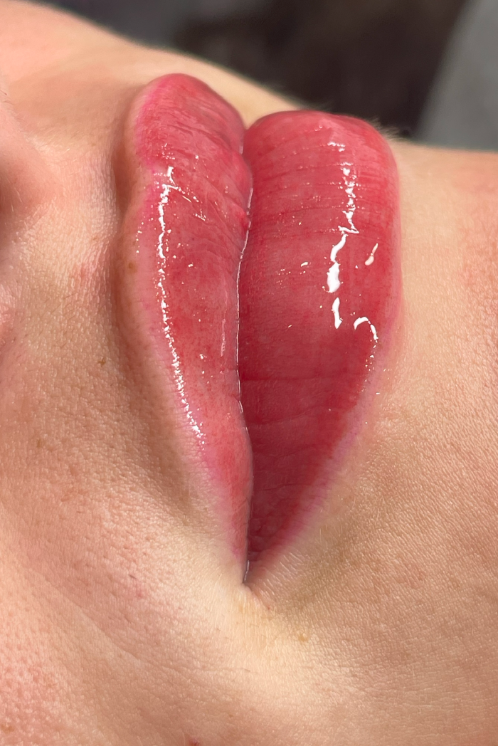 Lip blushing / Micropigmentação labial